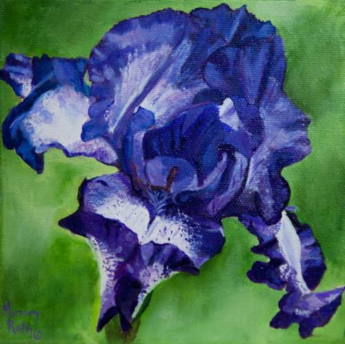 Iris in Purple and Blue - Flower Power Mini Series #3